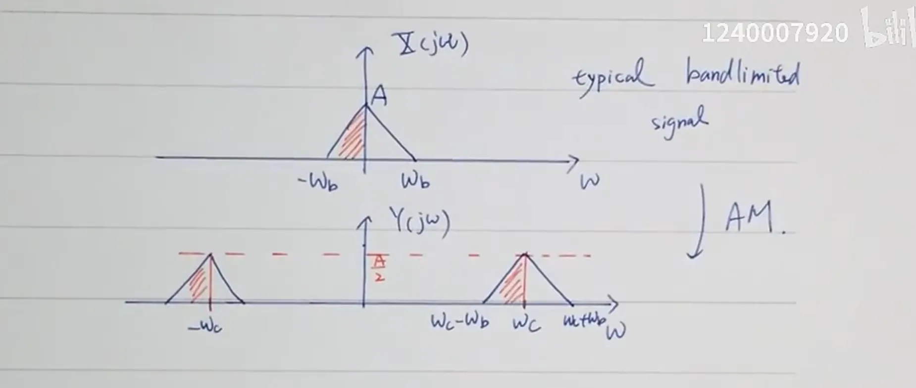 image-20260527185046203