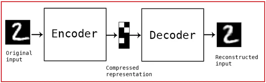 Introduction to Autoencoders - Dot Net Tutorials